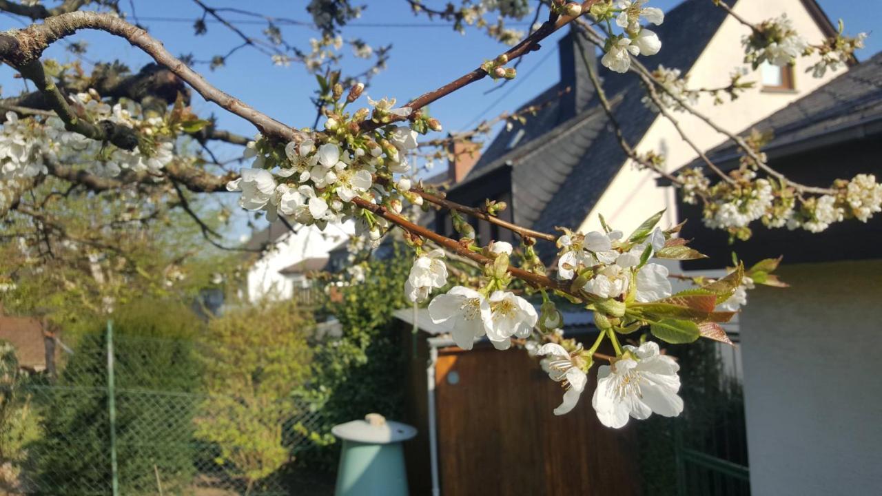 Ferienwohnung Rheinzeit Beim Toni 博帕德 外观 照片